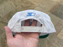 Load image into Gallery viewer, Vintage North Carolina Tarheels Starter Pinstripe Snapback College Hat