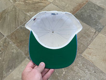 Load image into Gallery viewer, Vintage North Carolina Tarheels Starter Pinstripe Snapback College Hat