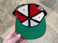 Load image into Gallery viewer, Vintage Miami Hurricanes Pro Player Snapback College Hat