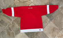 Load image into Gallery viewer, Vintage Detroit Red Wings Koho Hockey Jersey, Size Large