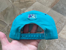 Load image into Gallery viewer, Vintage Charleston River Dogs New Era Snapback Baseball Hat