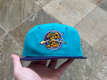 Load image into Gallery viewer, Vintage Charleston River Dogs New Era Snapback Baseball Hat