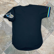 Load image into Gallery viewer, Vintage Tampa Bay Devil Rays Russell Baseball Jersey, Size 44, Large