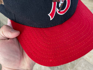 Vintage Buffalo Bisons Horned New Era Snapback Baseball Hat
