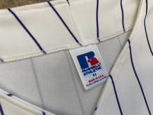 Load image into Gallery viewer, Vintage Arizona Diamondbacks Damian Miller Russell Baseball Jersey, Size 44, Large