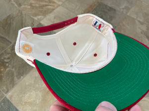 Vintage Florida State Seminoles Logo Athletic Sharktooth Snapback College Hat