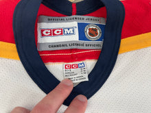 Load image into Gallery viewer, Vintage Florida Panthers CCM Hockey Jersey, Size Youth S/M, 8-10