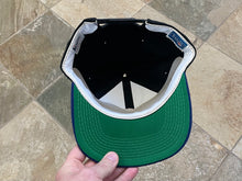 Load image into Gallery viewer, Vintage Buffalo Bills Sports Specialties Script Snapback Football Hat