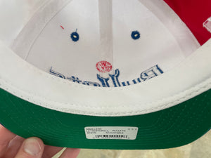 Vintage Washington Bullets Sports Specialties Script Snapback Basketball Hat