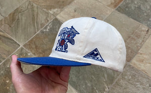 Vintage Kentucky Wildcats Apex One Snapback College Hat