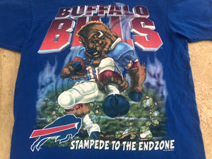 Vintage Buffalo Bills Salem Sportswear Football Tshirt, Size medium