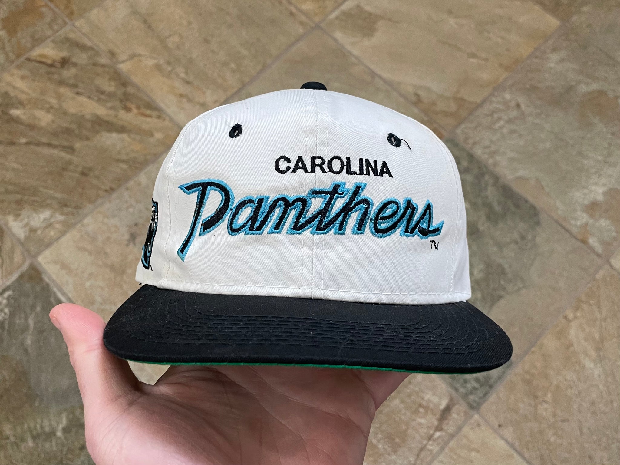 carolina panthers script hat