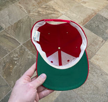Load image into Gallery viewer, Vintage Western Kentucky Hilltoppers The Game Snapback College Hat