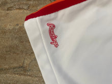 Load image into Gallery viewer, Vintage Houston Astros Rawlings Baseball Jersey, Size XL