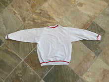 Load image into Gallery viewer, Vintage Ohio State Buckeyes College Sweatshirt, Size Large