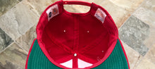 Load image into Gallery viewer, Vintage Nebraska Cornhuskers Youngan Snapback College Hat
