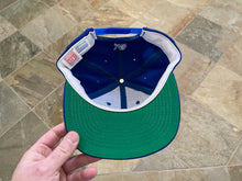 Load image into Gallery viewer, Vintage Detroit Lions American Needle Triangle Snapback Football Hat