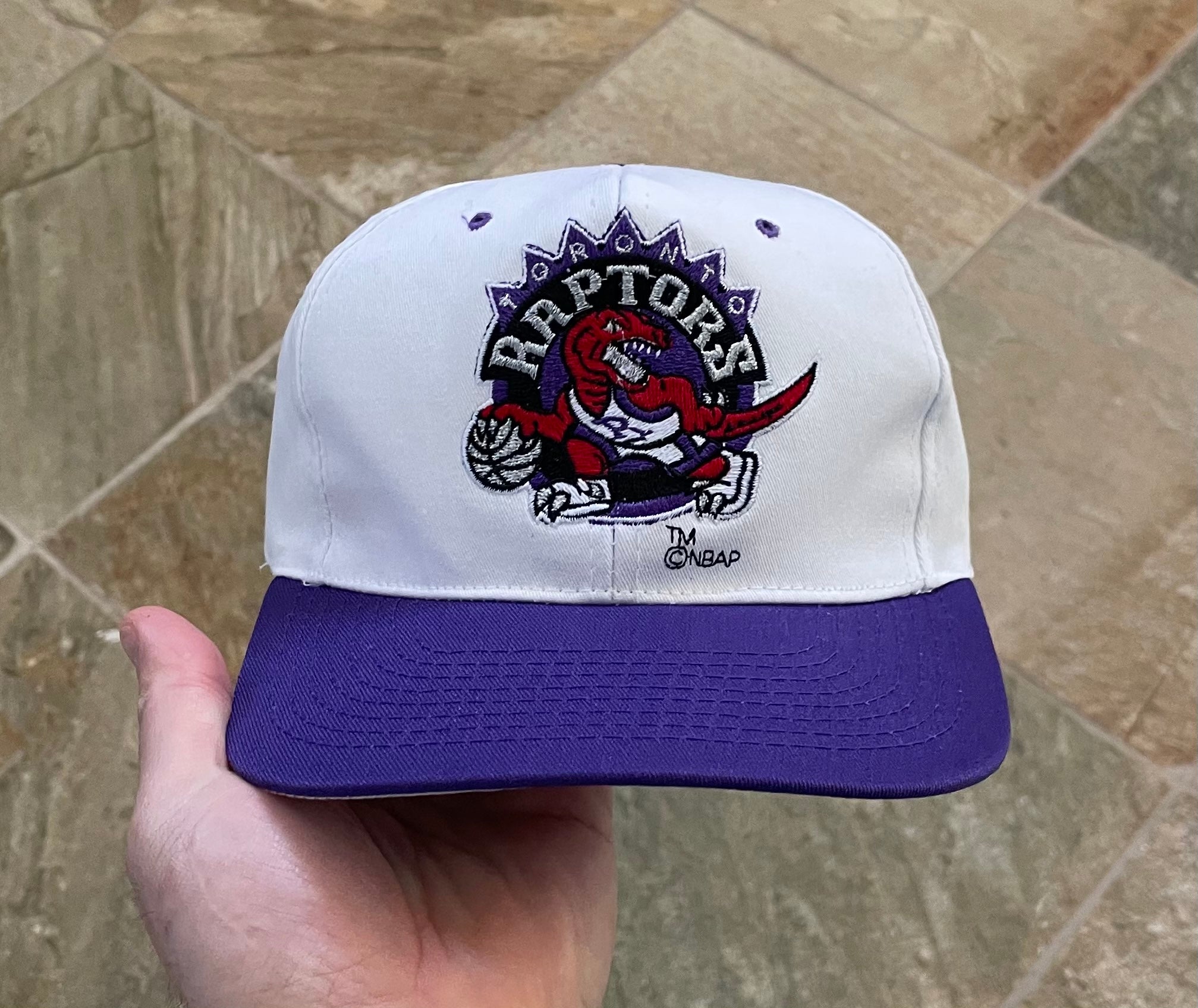 Vintage toronto raptors hat