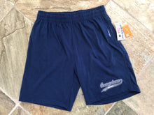 Load image into Gallery viewer, Vintage Georgetown Hoyas Starter Script College Shorts Pants, Size XL