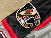 Load image into Gallery viewer, Vintage Cincinnati Cyclones Athletic Knit ECHL Hockey Jersey, Size Large