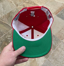 Load image into Gallery viewer, Vintage Detroit Red Wings Sports Specialties Grid Snapback Hockey Hat