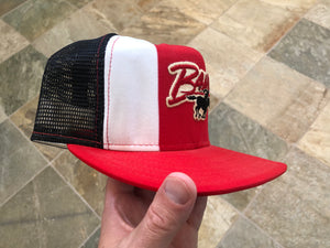 Vintage Tampa Bay Bandits USFL Snapback Football Hat