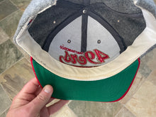 Load image into Gallery viewer, Vintage San Francisco 49ers Starter Tailsweep Snapback Football Hat