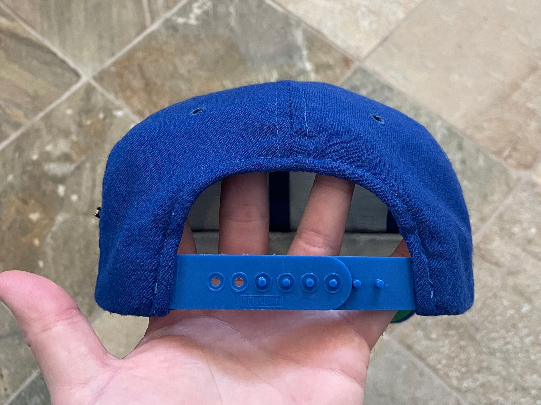 Vintage Detroit Lions Script Hat – Twisted Thrift