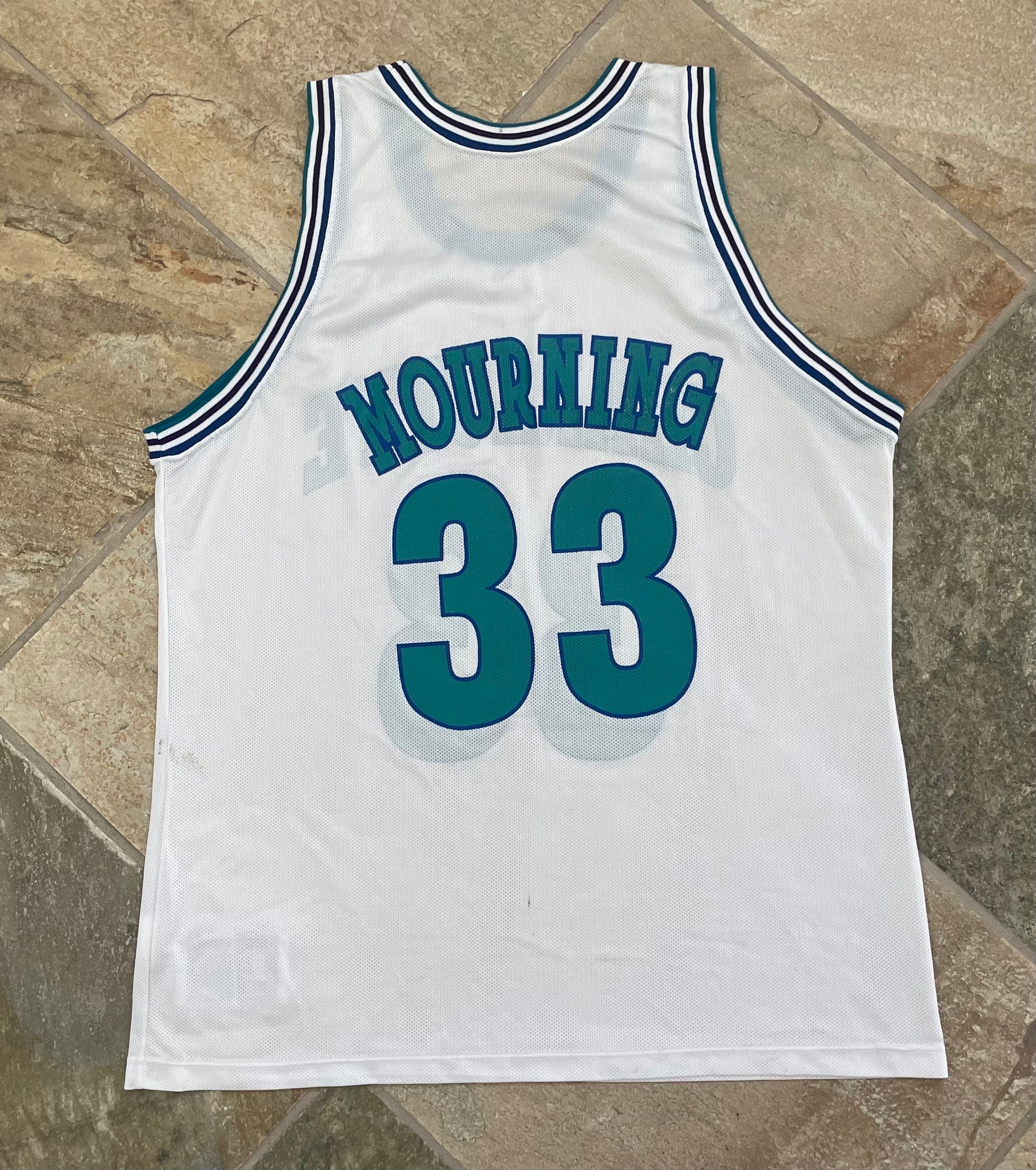 Alonzo Mourning Vintage 90's Charlotte Hornets Champion Made in USA NB –  thefuzzyfelt