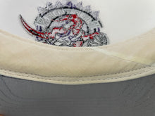Load image into Gallery viewer, Vintage Toronto Raptors Snapback Basketball Hat