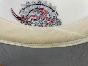 Vintage Toronto Raptors Snapback Basketball Hat