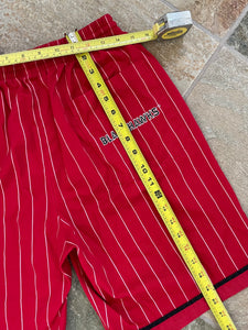 Vintage Chicago Blackhawks Starter Pin Stripe Hockey Shorts, Size Large
