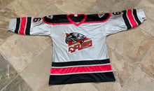 Load image into Gallery viewer, Vintage Cincinnati Cyclones Athletic Knit ECHL Hockey Jersey, Size Large