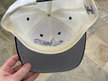 Load image into Gallery viewer, Vintage Tampa Bay Devil Rays Logo Athletic Snapback Baseball Hat