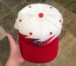 Vintage Florida Panthers Logo Athletic Sharktooth Snapback Hockey Hat