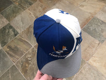 Load image into Gallery viewer, Vintage Phoenix Roadrunners IHL Snapback Hockey Hat