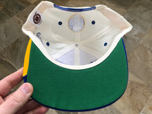 Load image into Gallery viewer, Vintage Buffalo Sabres Twins Enterprises Snapback Hockey Hat