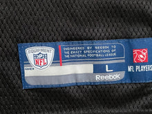 Load image into Gallery viewer, Vintage Oakland Raiders Shane Lechler Reebok Football Jersey, Size Large