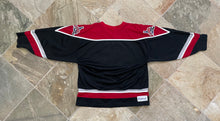 Load image into Gallery viewer, Vintage Idaho Steelheads ECHL Minor League Hockey Jersey, Size XL