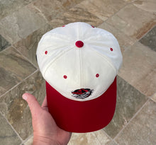 Load image into Gallery viewer, Vintage Georgia Bulldogs American Needle Blockhead Snapback College Hat