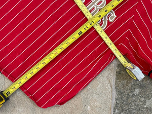 Vintage San Francisco 49ers Starter Pin Stripe Football Jersey, Size Youth Medium, 8-10