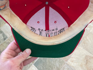 Vintage Chicago Bulls Starter Arch Snapback Basketball Hat