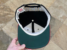 Load image into Gallery viewer, Vintage San Francisco 49ers American Needle Blockhead Snapback Football Hat