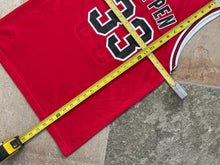 Load image into Gallery viewer, Vintage Chicago Bulls Scottie Pippen Champion Basketball Jersey, Size Youth Large, 14-16
