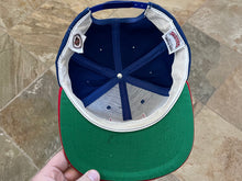 Load image into Gallery viewer, Vintage Texas Rangers Nutmeg American Needle Snapback Baseball Hat