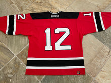 Load image into Gallery viewer, Vintage New Jersey Devils CCM Hockey Jersey, Size Large