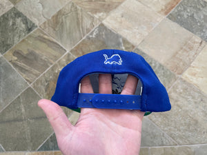 Vintage Detroit Lions American Needle Triangle Snapback Football Hat