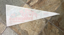 Load image into Gallery viewer, Vintage San Francisco 49ers 1989 Super Bowl Pennant ###