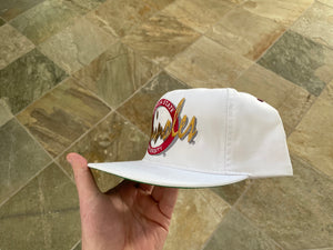 Vintage Florida State Seminoles Circle Logo Snapback College Hat