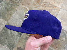 Load image into Gallery viewer, Vintage Minnesota Vikings Sports Specialties Circle Logo Snapback Football Hat